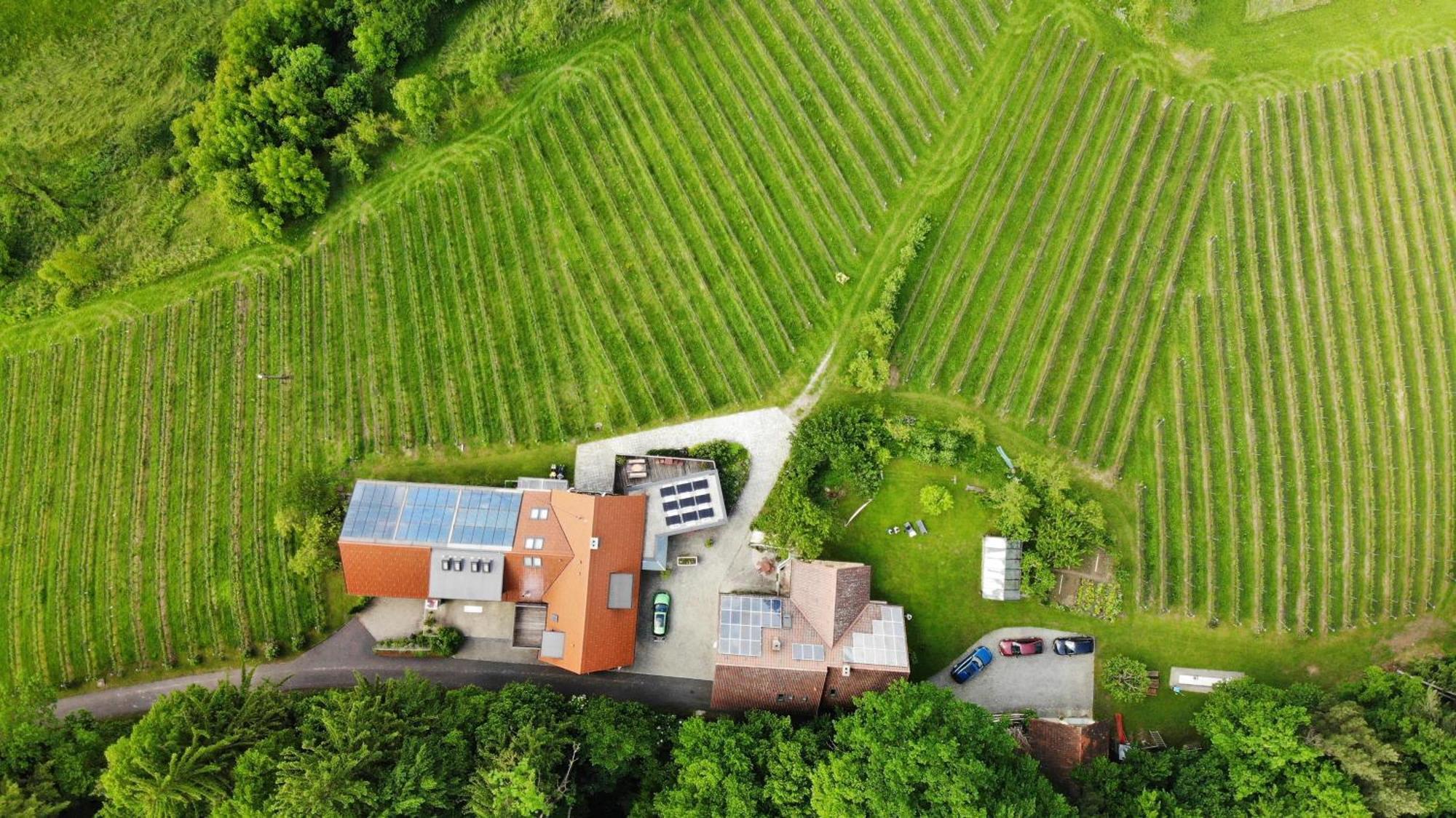 Weingut Spitzypeitler Bed & Breakfast Leutschach Exterior photo